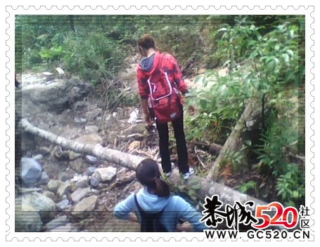 11月26日登峰银殿山~！3 / 作者:牛鼻子 / 帖子ID:4626
