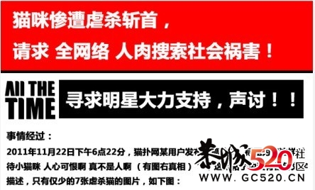 残忍的凶手~！！无辜的猫咪...856 / 作者:九曲猫咪 / 帖子ID:4695