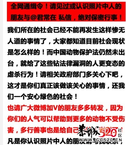 残忍的凶手~！！无辜的猫咪...222 / 作者:九曲猫咪 / 帖子ID:4695