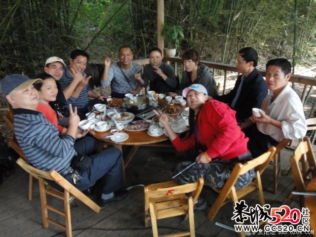 8264红岩金柿林、深秋海洋银杏 黄色东东！！938 / 作者:红日叔叔 / 帖子ID:4959