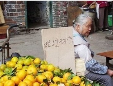 今年是不是柑橙又不好卖呀？597 / 作者:四渡赤水 / 帖子ID:5230