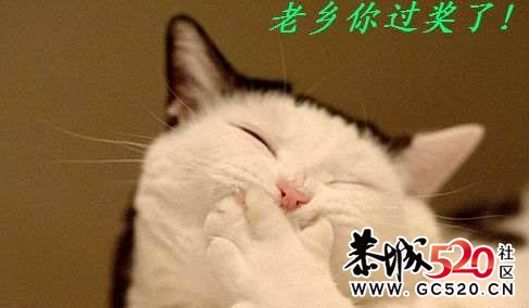 我珍藏的一张电影&lt;刘三姐&gt;剧组现场照。365 / 作者:平安大叔 / 帖子ID:4962