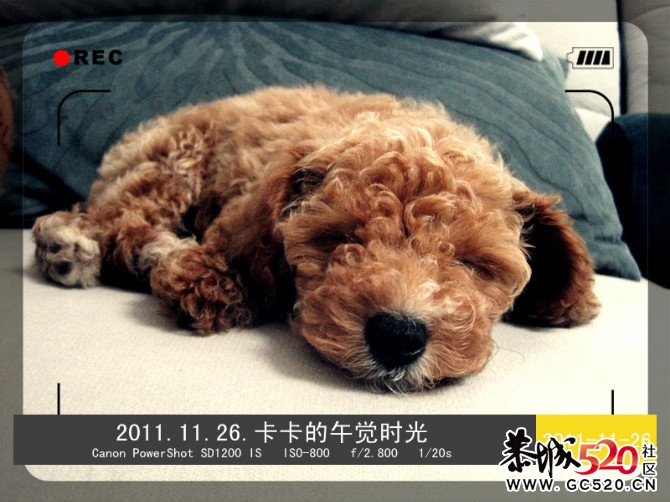 出大太阳了，我们卡卡要出来晒美美照了！~905 / 作者:菜小花 / 帖子ID:5312
