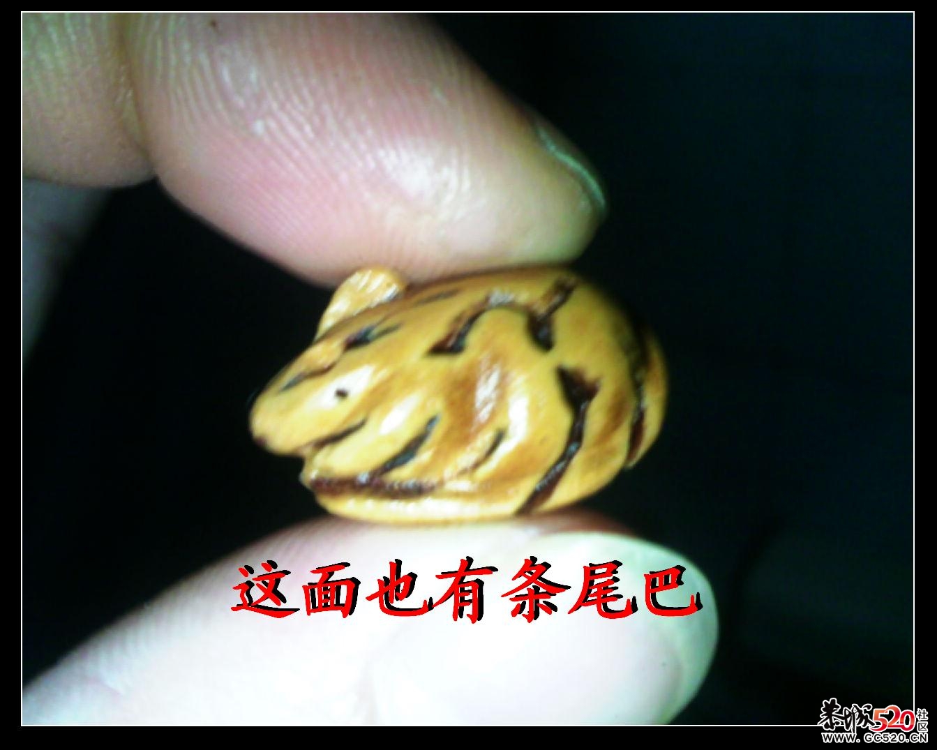 快来看看两条尾巴的老鼠196 / 作者:排散 / 帖子ID:5327