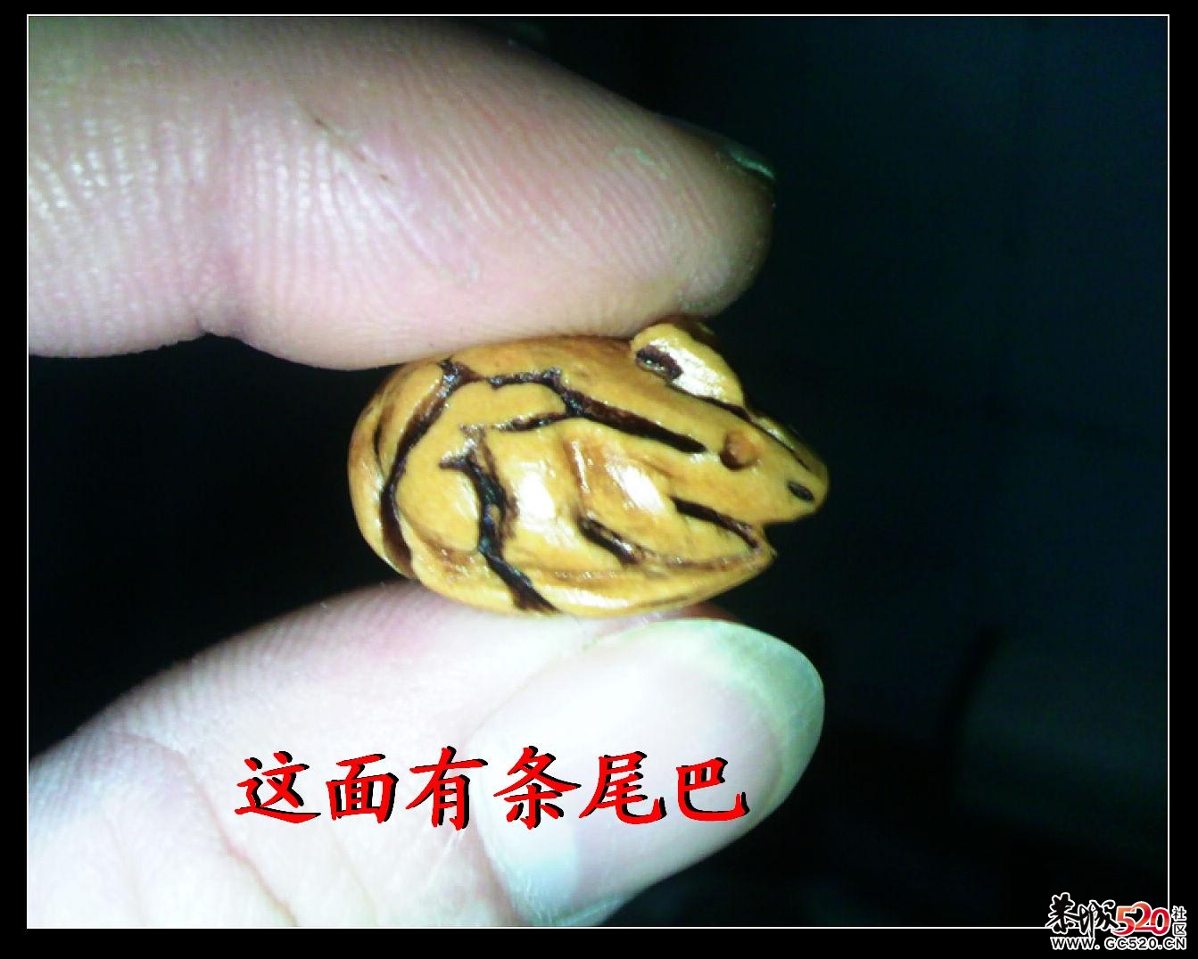 快来看看两条尾巴的老鼠608 / 作者:排散 / 帖子ID:5327