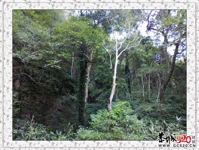 车队活动12.4发现新大陆429 / 作者:探索者越野车队 / 帖子ID:5500