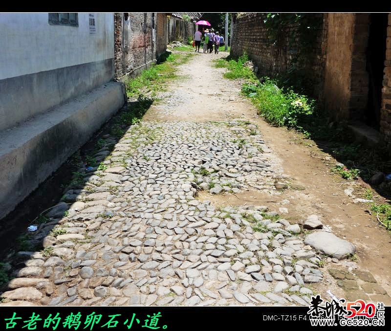 加会九板风光、老房子。170 / 作者:平安大叔 / 帖子ID:5538