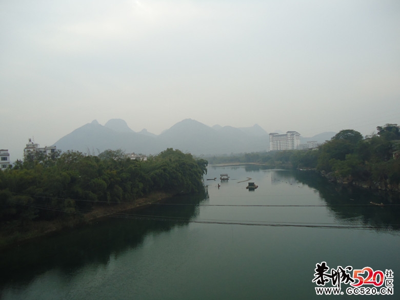 茶江上的一群鸭~572 / 作者:嬋影 / 帖子ID:5616