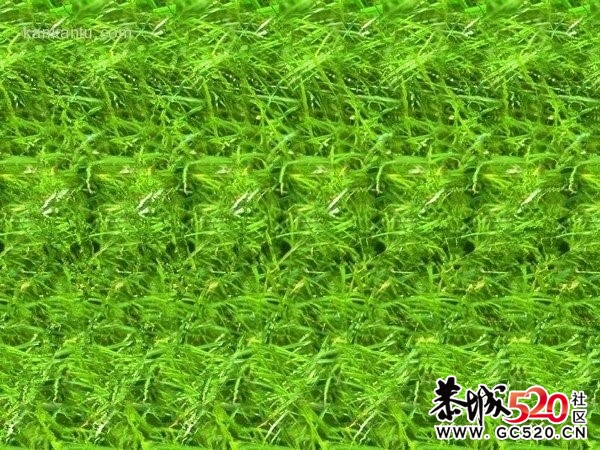 盯着图片看 看你看见什么？796 / 作者:请叫我宅男先生 / 帖子ID:5625