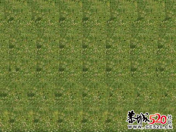 盯着图片看 看你看见什么？832 / 作者:请叫我宅男先生 / 帖子ID:5625