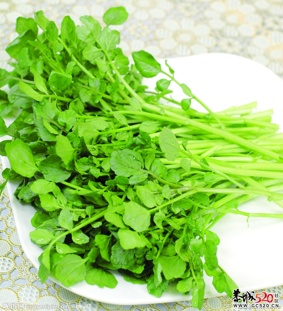 让你变瘦的八种营养食品131 / 作者:排排坐分果果 / 帖子ID:5647