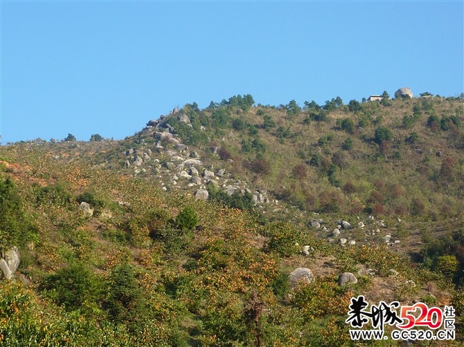 茶江户外驴行榴石顶部分PP158 / 作者:福民侠 / 帖子ID:5710