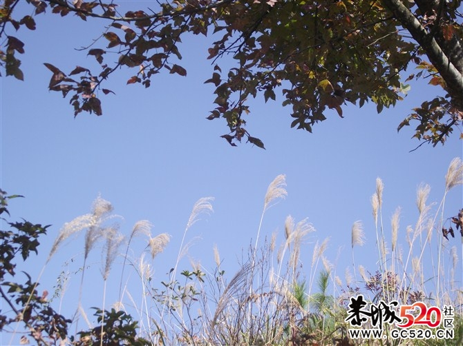 茶江户外驴行榴石顶部分PP885 / 作者:福民侠 / 帖子ID:5710