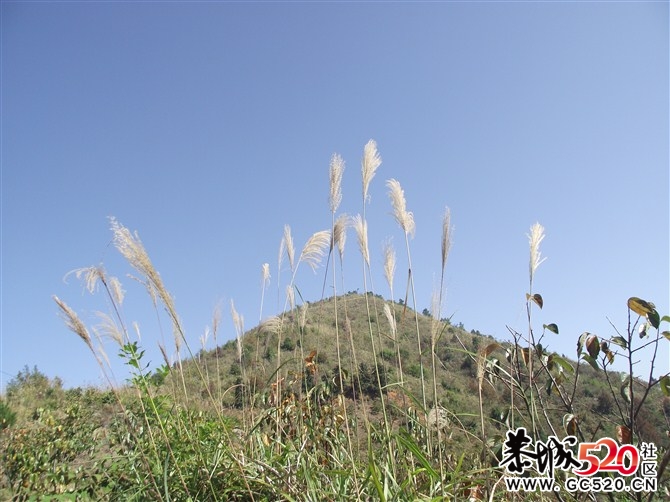 茶江户外驴行榴石顶部分PP88 / 作者:福民侠 / 帖子ID:5710