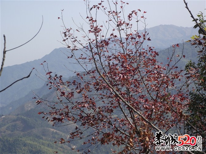 茶江户外驴行榴石顶部分PP44 / 作者:福民侠 / 帖子ID:5710