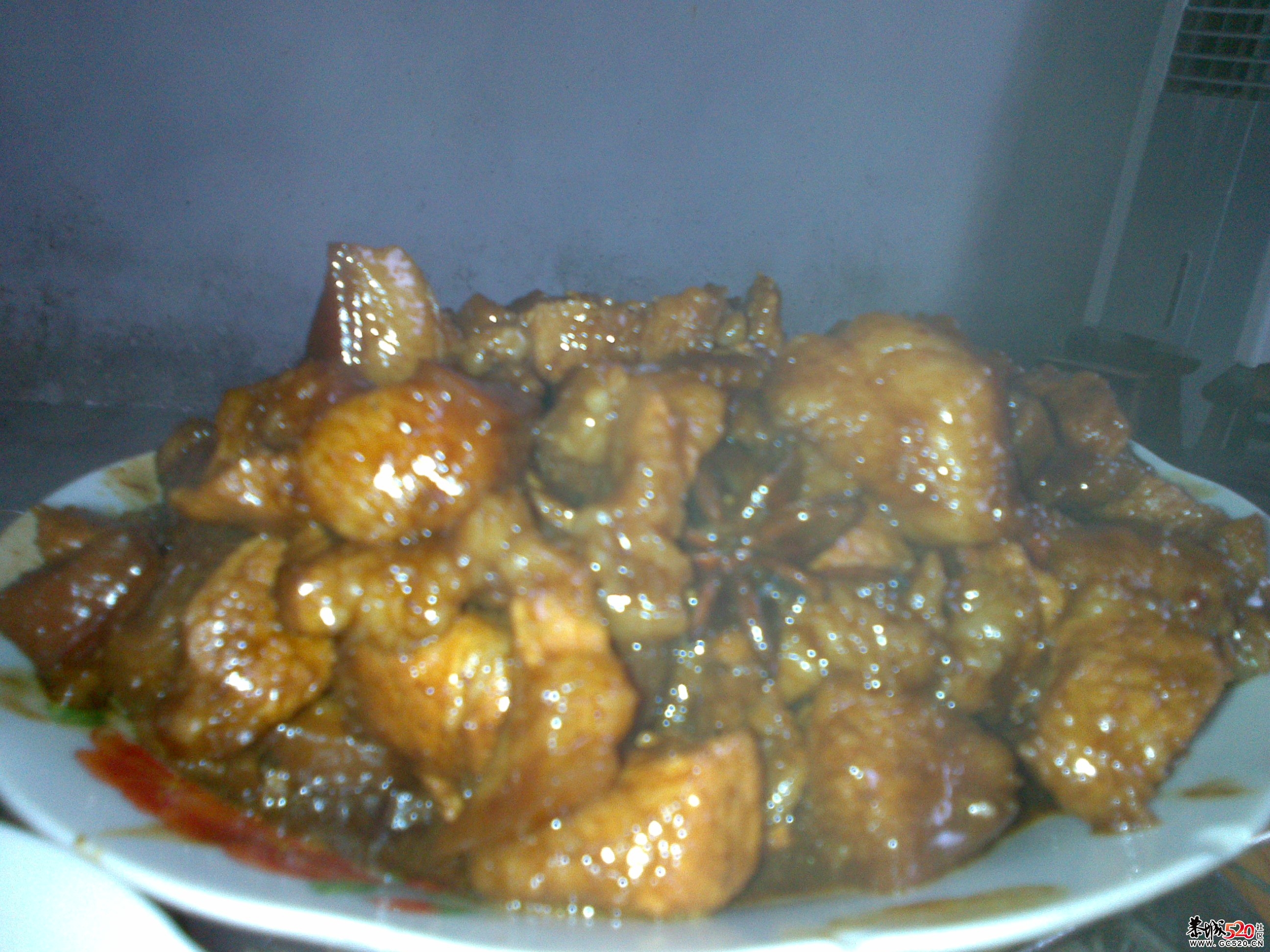 观音黄焖肉，好吃呀...902 / 作者:少年包工头 / 帖子ID:5735