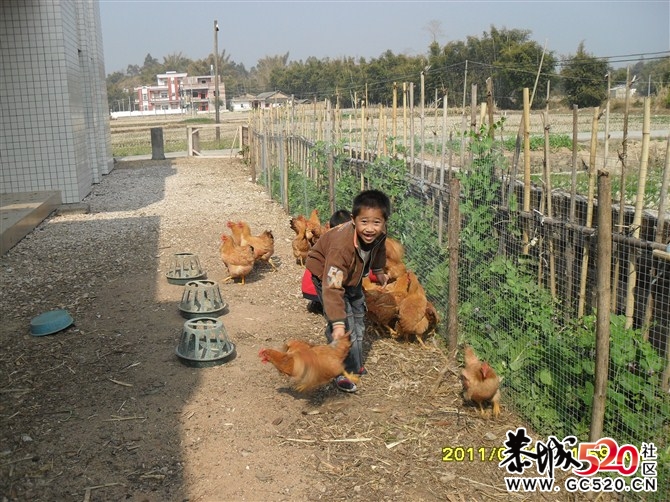 外婆我想吃鸡霸腿了254 / 作者:淘气蜻蜓 / 帖子ID:5740