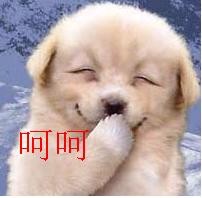 100块钱你能花几天？415 / 作者:黄连的味道 / 帖子ID:5585