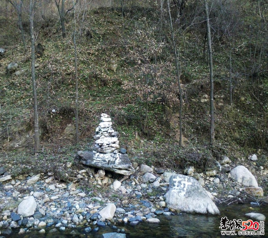 看看有人猜得出这张照片是死马意思？317 / 作者:千里之外 / 帖子ID:5887