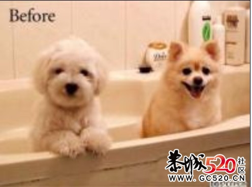 一对夫妻洗澡前后对比，有图有真相！896 / 作者:火星娃崽 / 帖子ID:5894