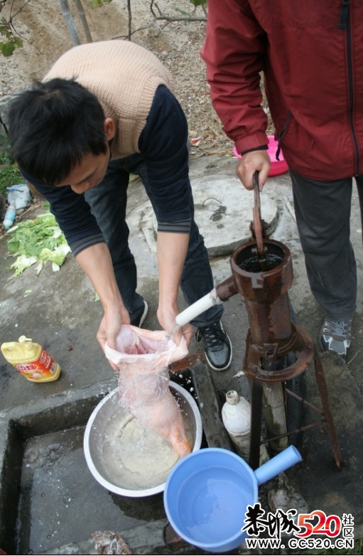 跟车队去栗木杀猪，只是去吃，杀的时候俺不在356 / 作者:黄子 / 帖子ID:5954