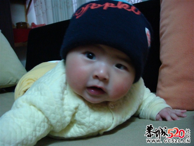 亲亲我的大侄子-----615 / 作者:九姑娘 / 帖子ID:5981