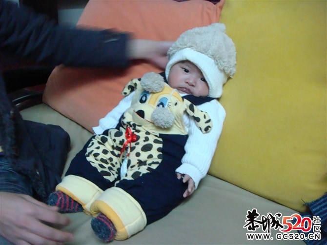 亲亲我的大侄子-----184 / 作者:九姑娘 / 帖子ID:5981