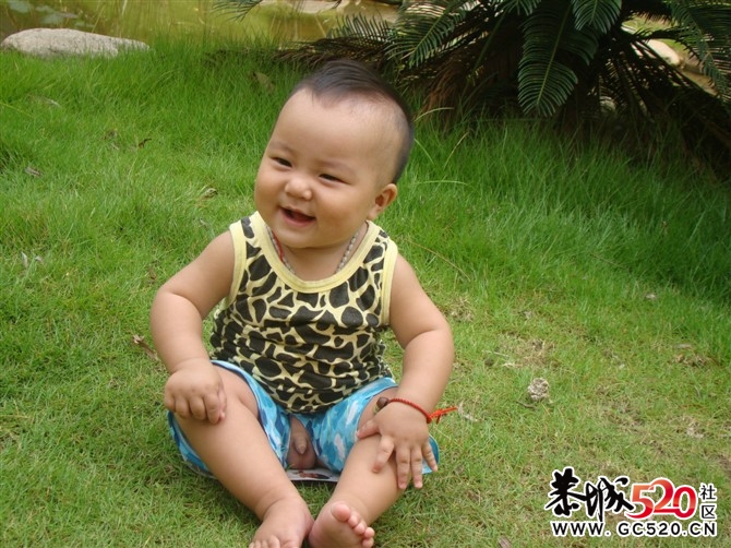 再献上帅哥一枚-----亲亲我的大外甥479 / 作者:九姑娘 / 帖子ID:6010