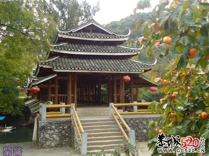 又是一年落叶黄...（注：紫酱大师之作）427 / 作者:小紫 / 帖子ID:6056