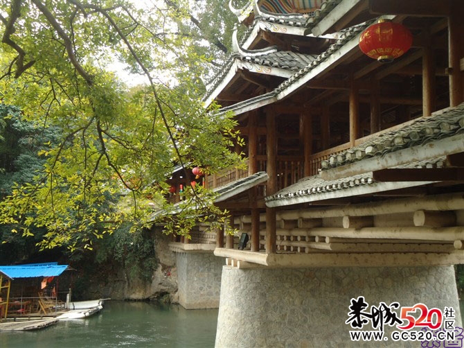 又是一年落叶黄...（注：紫酱大师之作）963 / 作者:小紫 / 帖子ID:6056