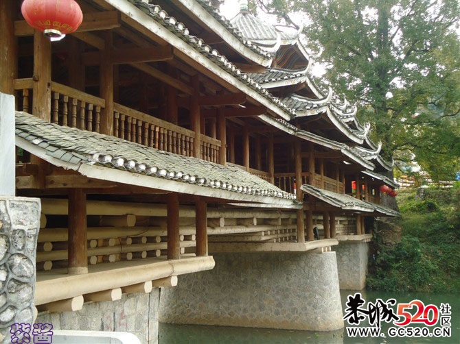 又是一年落叶黄...（注：紫酱大师之作）902 / 作者:小紫 / 帖子ID:6056