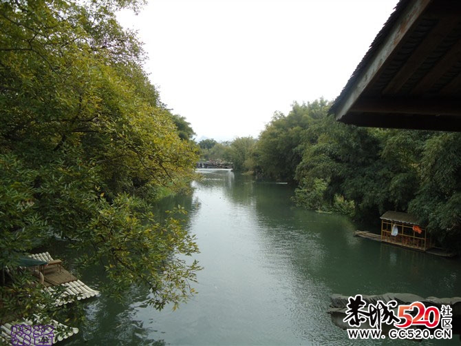 又是一年落叶黄...（注：紫酱大师之作）405 / 作者:小紫 / 帖子ID:6056