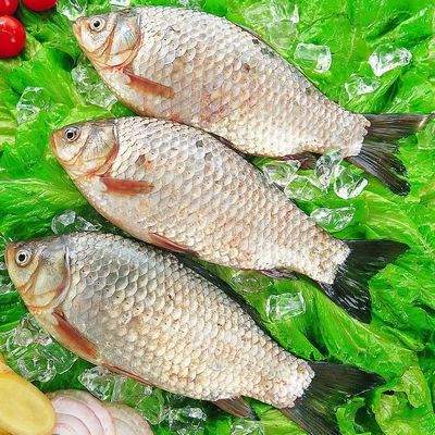 吃鱼要忌口 看这8种鱼忌哪些食物？581 / 作者:小雨点 / 帖子ID:6203