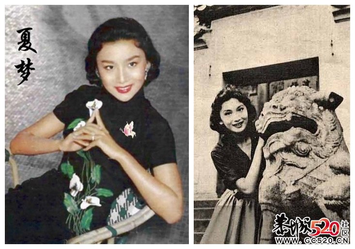 {因为她，金庸笔下才有了那些美丽的女人----夏梦}899 / 作者:九姑娘 / 帖子ID:6236