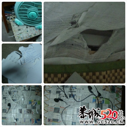嘴贱的老鼠，你怎么不去死啊！50 / 作者:米莎莎 / 帖子ID:6271