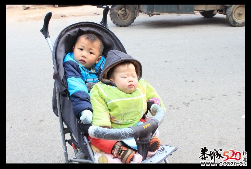 莲花街小孩无证驾驶,超载,且开车时睡觉（有图有真相）84 / 作者:诺基亚三星服务 / 帖子ID:6286