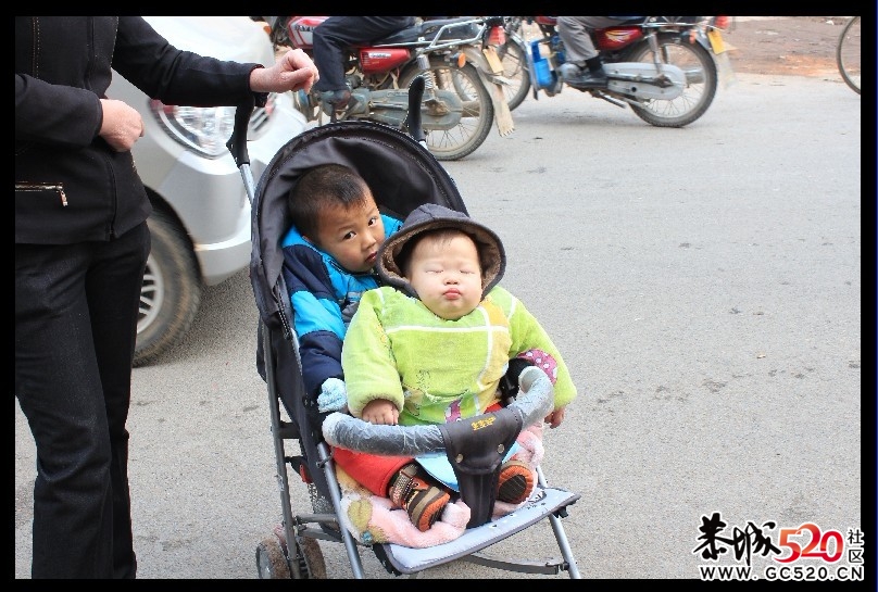 莲花街小孩无证驾驶,超载,且开车时睡觉（有图有真相）424 / 作者:诺基亚三星服务 / 帖子ID:6286