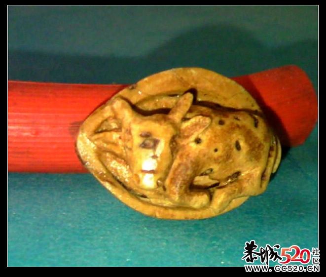 不管廊子，他也是牛504 / 作者:排散 / 帖子ID:6393