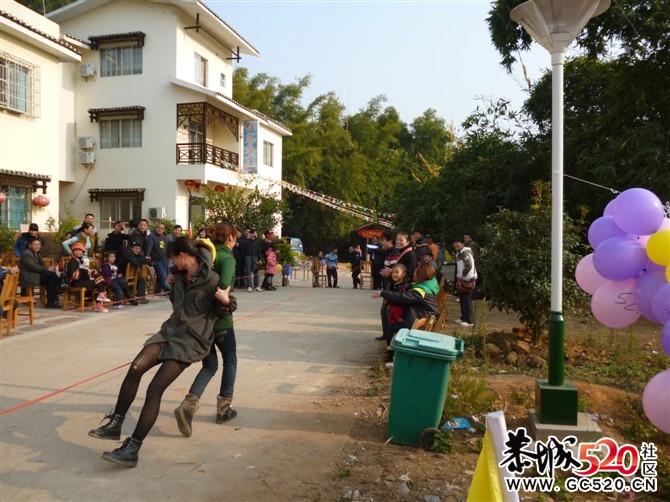 昨天年猪喜乐会图片汇集帖 各路英雄豪杰汇集810 / 作者:星想事成 / 帖子ID:6409