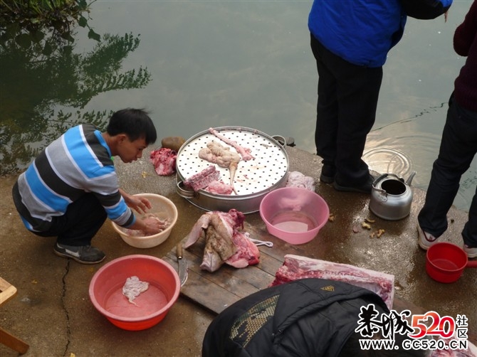 昨天年猪喜乐会图片汇集帖 各路英雄豪杰汇集19 / 作者:星想事成 / 帖子ID:6409
