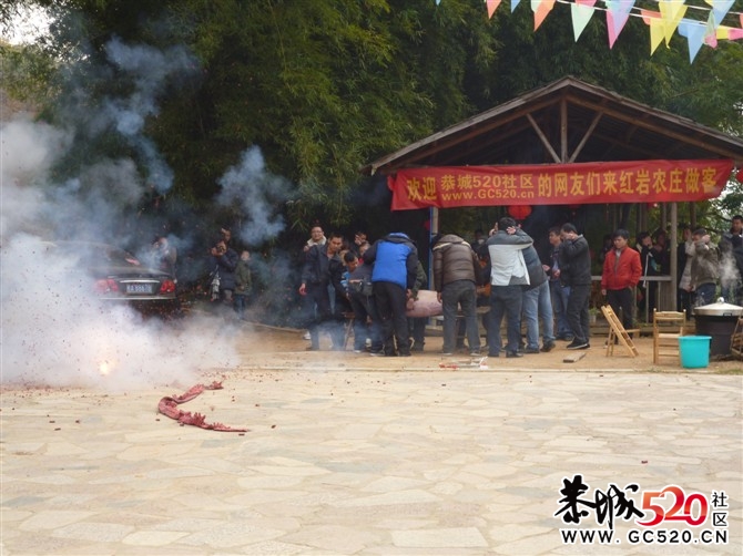 昨天年猪喜乐会图片汇集帖 各路英雄豪杰汇集902 / 作者:星想事成 / 帖子ID:6409