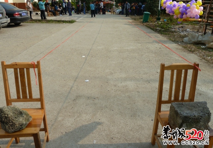 昨天年猪喜乐会图片汇集帖 各路英雄豪杰汇集494 / 作者:油茶淘族 / 帖子ID:6409