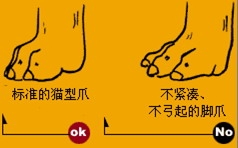 杜宾系列734 / 作者:cheap_monday / 帖子ID:6516