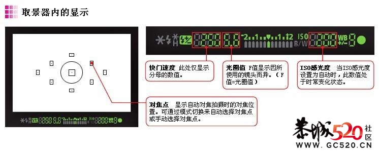 单反教程801 / 作者:Shirley / 帖子ID:6587