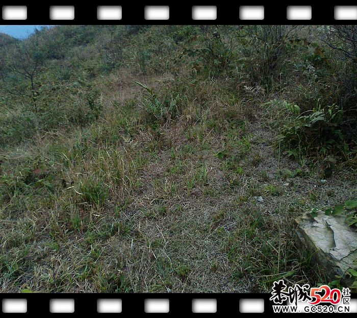 探索发现恭城又一大草原！~~85 / 作者:探索者越野车队 / 帖子ID:6529