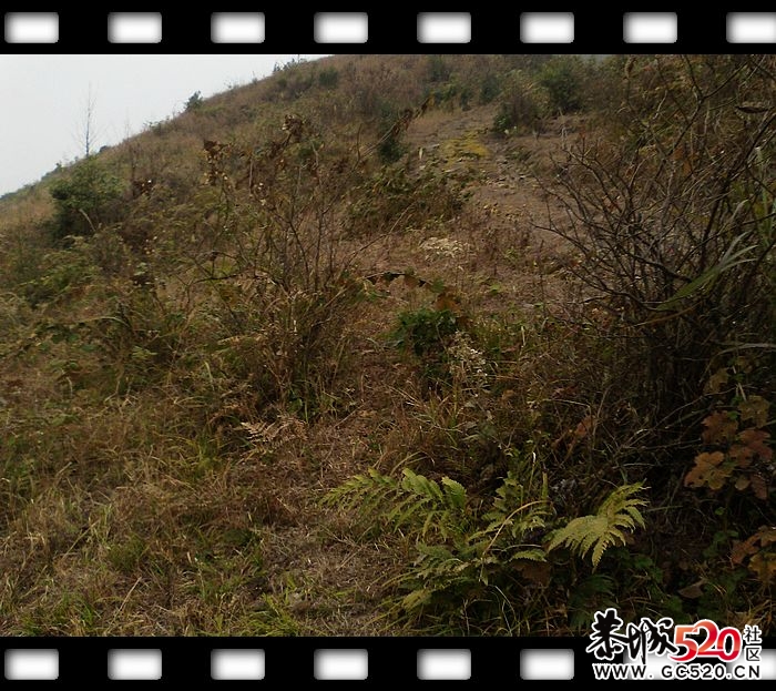 探索发现恭城又一大草原！~~714 / 作者:探索者越野车队 / 帖子ID:6529