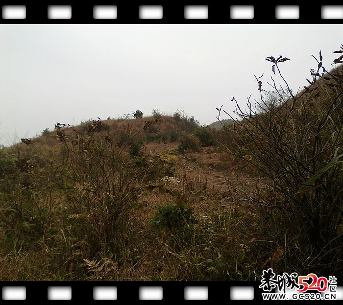 探索发现恭城又一大草原！~~709 / 作者:探索者越野车队 / 帖子ID:6529