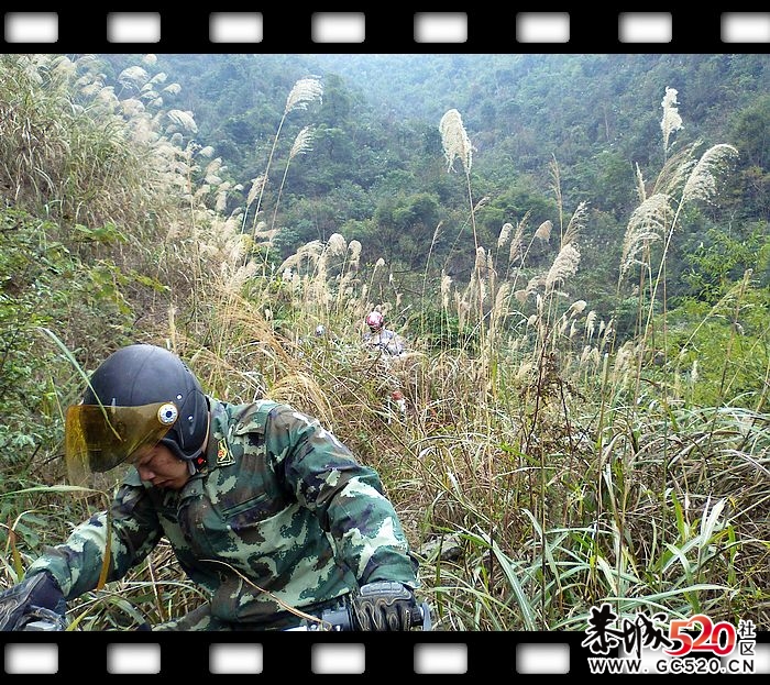 探索发现恭城又一大草原！~~121 / 作者:探索者越野车队 / 帖子ID:6529