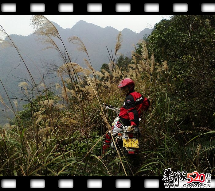 探索发现恭城又一大草原！~~591 / 作者:探索者越野车队 / 帖子ID:6529