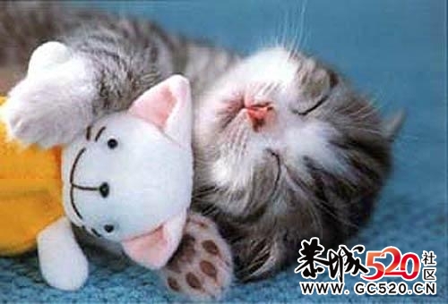 生命中不可丢失的9样东西249 / 作者:好孩子 / 帖子ID:6762